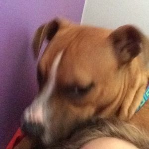 Meet your Posher, Noah